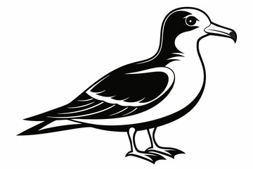 Obraz premium petrel bird line art silhouette vector illustration