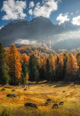 Autumn in Switzerland - Grisons