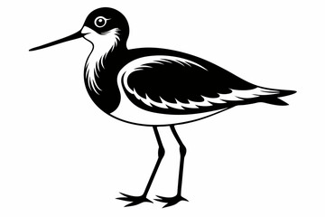 sandpiper line art silhouette vector illustration