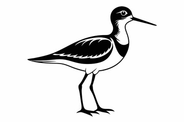 sandpiper line art silhouette vector illustration