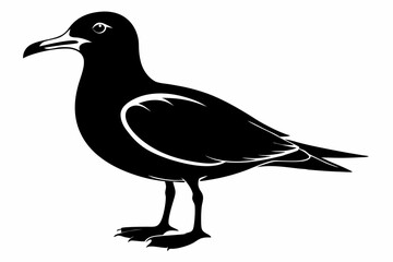 seagull line art silhouette vector illustration