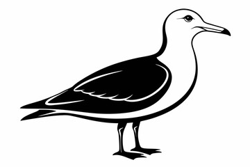 Obraz premium seagull line art silhouette vector illustration