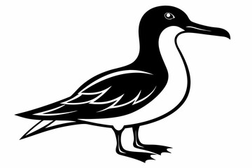 shearwater line art silhouette vector illustration
