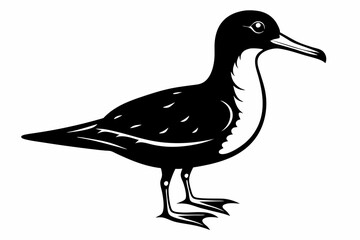 shearwater line art silhouette vector illustration