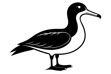 shearwater line art silhouette vector illustration
