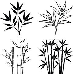 Bamboo Plant Illustrations Black and White Line Art Designs