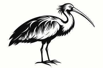 stork bird line art silhouette vector illustration