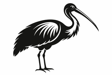 Obraz premium stork bird line art silhouette vector illustration