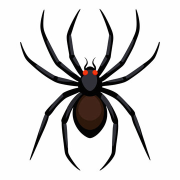 recluse spider vector icon with white background