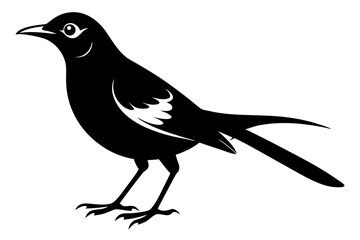 Obraz premium thrush bird line art silhouette vector illustration