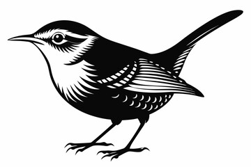 Fototapeta premium wren bird line art silhouette vector illustration