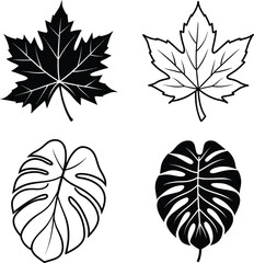 Fototapeta premium Four Simple Leaf Illustrations Maple and Monstera Designs