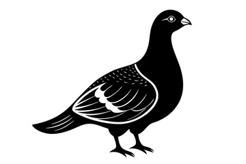 Obraz premium Scaled Quail Creative Vector Design