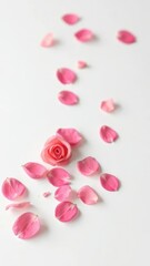 Delicate rose petals fall gently on pristine white surface, soft, minimalist, flower