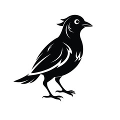 Vector illustration of a cartoon bird flying with wings, featuring a black crow or raven on a branch, showcasing wildlife and nature in a simple, symbolic design