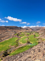 golf course on the south coast of Fuerteventura, an oasis of green in the desert, top view