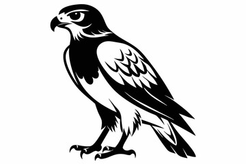 buzzard bird line art silhouette vector illustration