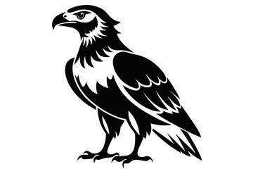 buzzard bird line art silhouette vector illustration