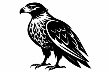 buzzard bird line art silhouette vector illustration