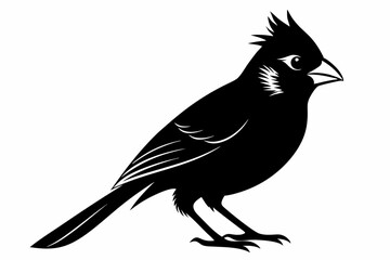 cardinal line art silhouette vector illustration