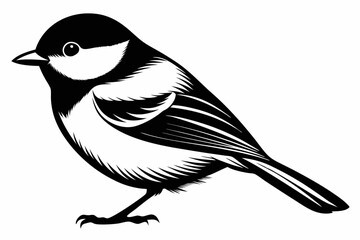 chickadee line art silhouette vector illustration © Pinak