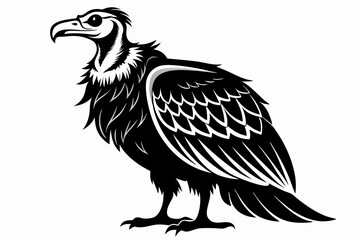 condor bird line art silhouette vector illustration