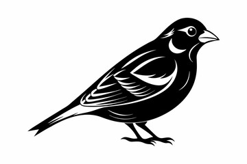 finch bird line art silhouette vector illustration