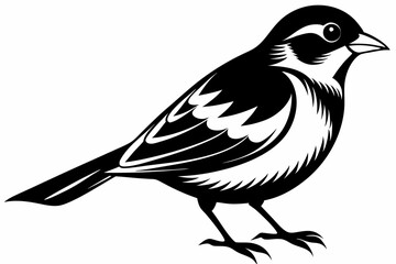 finch bird line art silhouette vector illustration