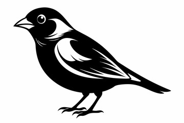 finch bird line art silhouette vector illustration