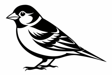 finch bird line art silhouette vector illustration