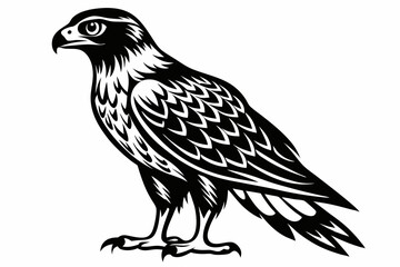harrier bird line art silhouette vector illustration