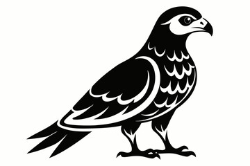 harrier bird line art silhouette vector illustration