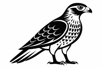 harrier bird line art silhouette vector illustration
