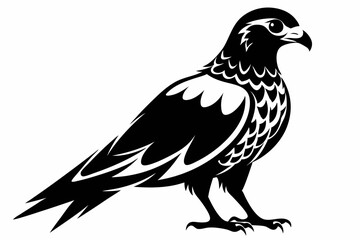 harrier bird line art silhouette vector illustration