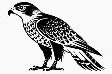 harrier bird line art silhouette vector illustration