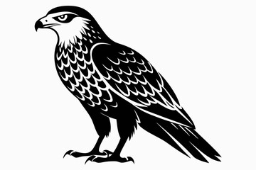 harrier bird line art silhouette vector illustration