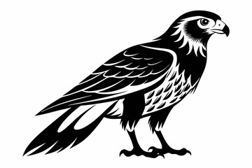harrier bird line art silhouette vector illustration