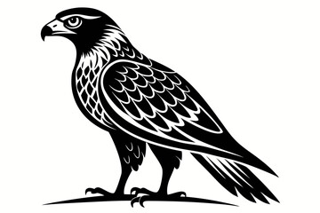 harrier bird line art silhouette vector illustration