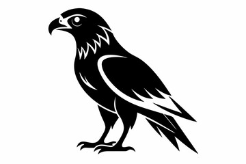 harrier bird line art silhouette vector illustration