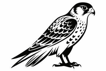 kestrel bird line art silhouette vector illustration