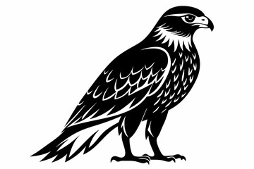 Fototapeta premium kestrel bird line art silhouette vector illustration