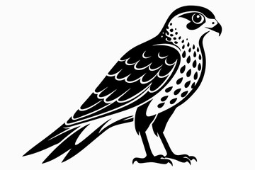 kestrel bird line art silhouette vector illustration
