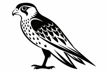kestrel bird line art silhouette vector illustration