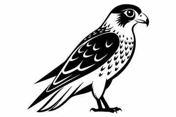 kestrel bird line art silhouette vector illustration