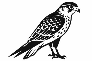 kestrel bird line art silhouette vector illustration