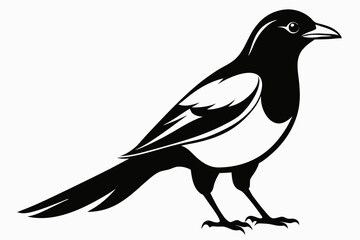 magpie line art silhouette vector illustration