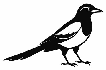 magpie line art silhouette vector illustration