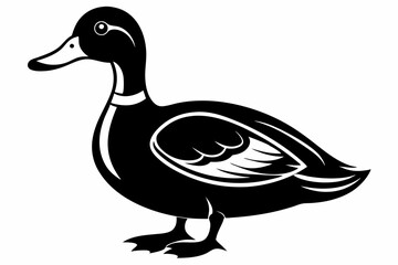 mallard duck line art silhouette vector illustration