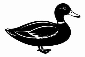 mallard duck line art silhouette vector illustration