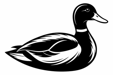 mallard duck line art silhouette vector illustration